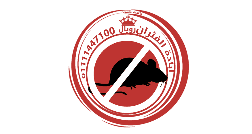 Pestcontrol Rats